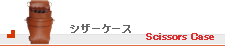 シザーケース